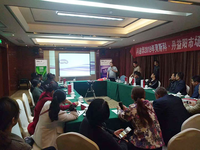 成功案例5