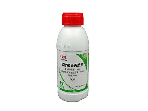 可灵达